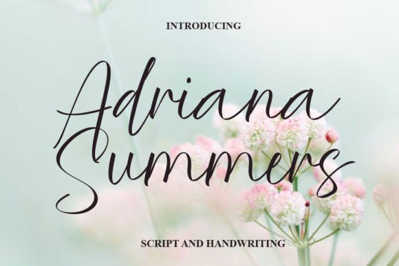 Adriana Summers Font: A Designer’s Branding Test