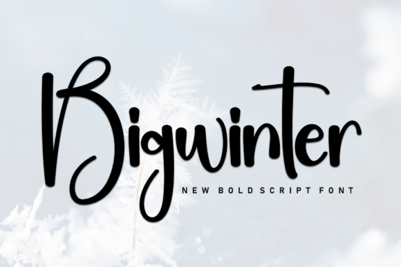 Bigwinter Font: Adding Sporty Script Style to Web Layouts
