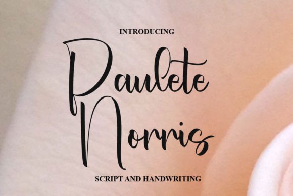 Paulete Norris Font: A Designer’s Campaign Review