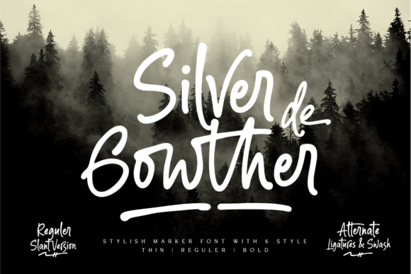 Silver Gowther Font Review: A Marker Typeface for Branding